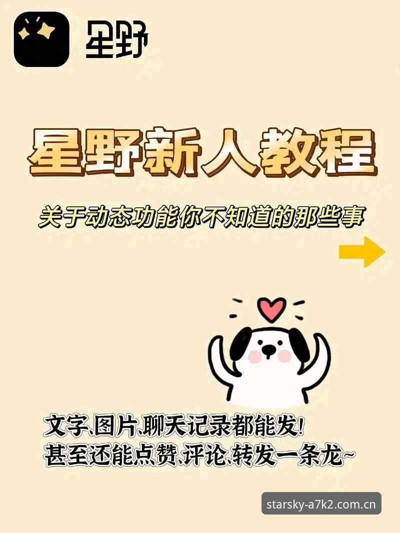 新手必备！星空电脑端下载实战经验，手把手教你搞定StarSky A7K2登录