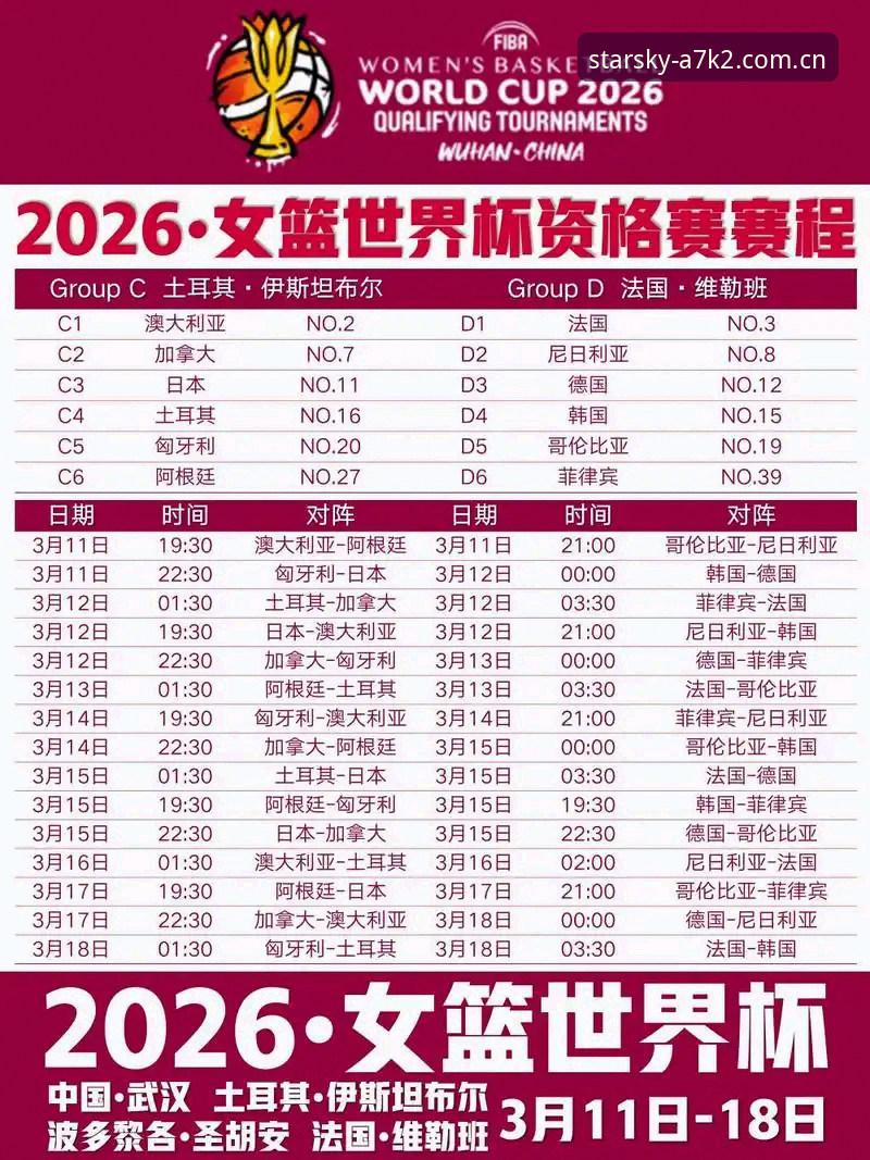 2026世界杯观赛签证受阻：星空体育平台观赛体验与应对策略完整指南